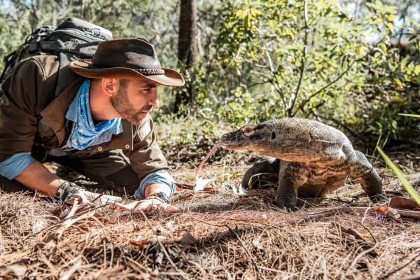 Animal Planet exibe retrospectiva do 'Melhor de 2020' nesse fim de ano